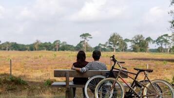 A couple sitting on a bench with a bicycle beside them, overlooking a field.