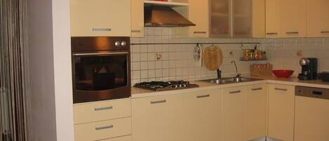 Fridge, oven, dishwasher, cookware/dishes/utensils