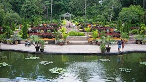 Un jardín con un estanque, escalones que conducen a un pabellón y diversas plantas en macetas.