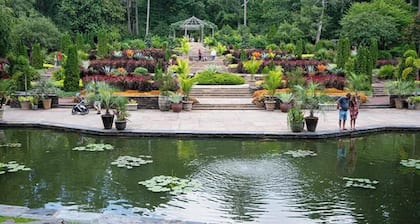 Durham Oasis - Movie & Game Room + Cozy Living