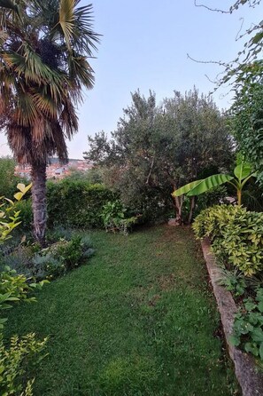 Ein Garten mit verschiedenen Pflanzen, einer Palme und einer Backsteinmauer.