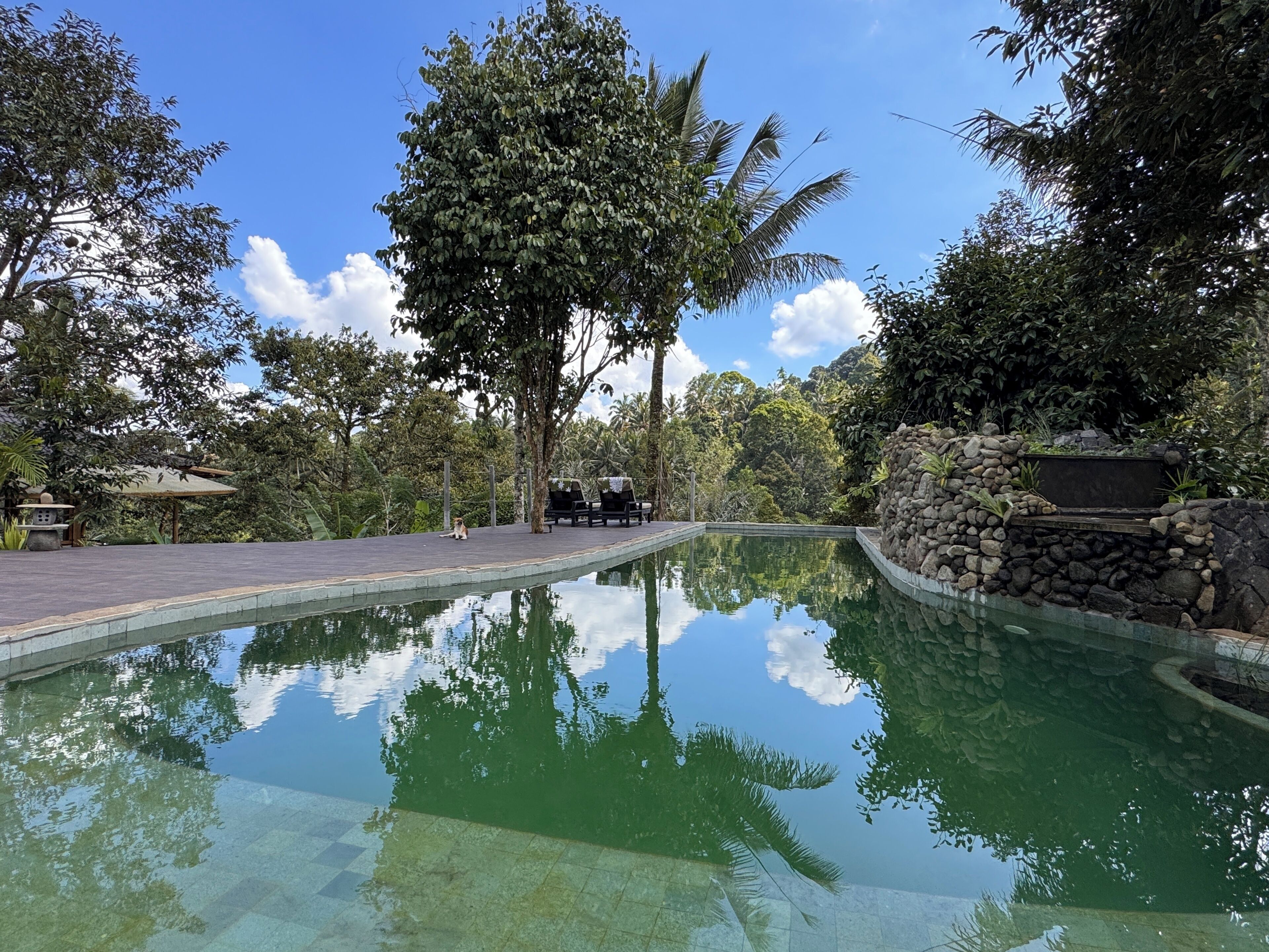Natural pool