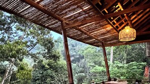 Una terrazza esterna in legno con tavoli e sedie, immersa nel verde e sormontata da una struttura con tetto di paglia.
