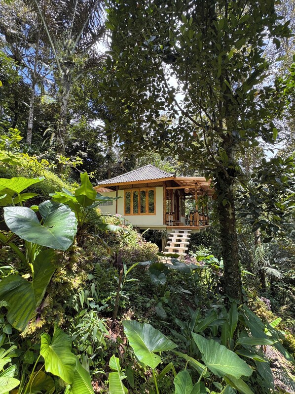 Comfort Double Room, Balcony, Garden View | Exterior - Jiwa Eco Escape (Tabanan)