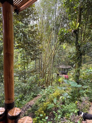 Comfort Double Room, Balcony, Garden View | Garden view - Jiwa Eco Escape (Selemadeg)