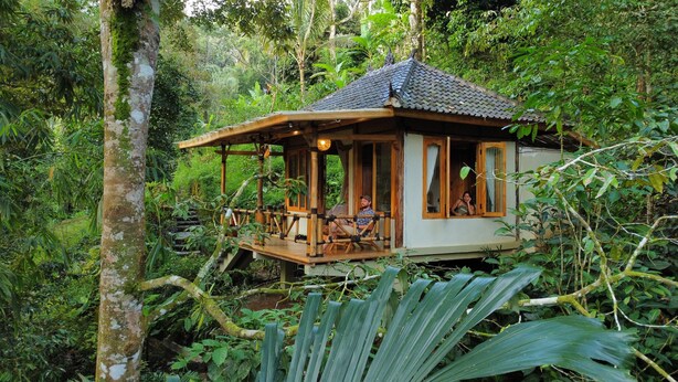 Una baita in legno con tetto in tegole, immersa in una fitta vegetazione tropicale.