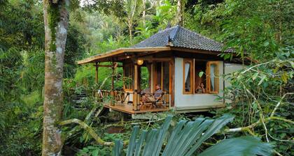 Jiwa Eco Escape