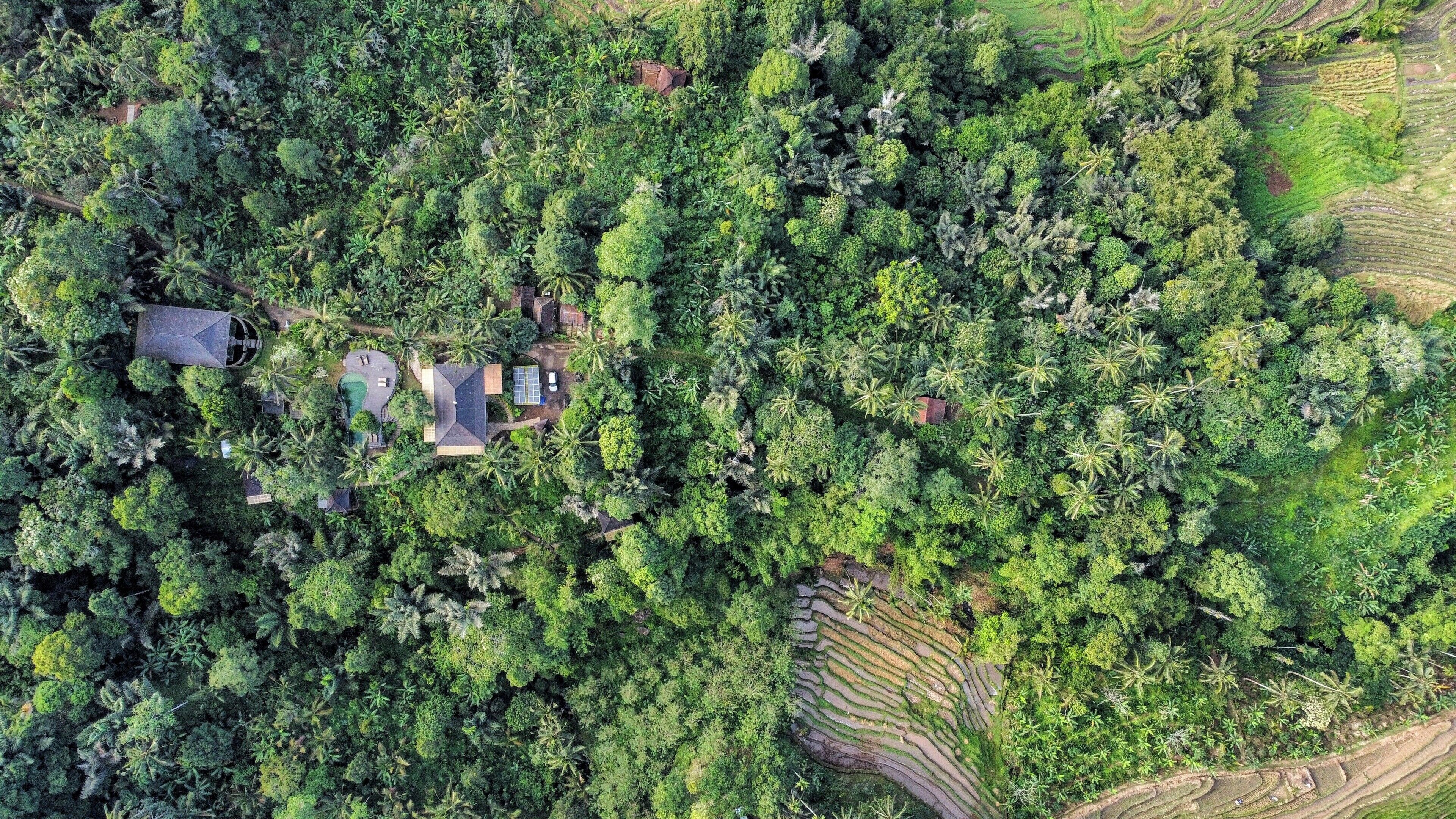 Pemandangan dari udara