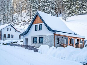 Exterior - Vacation home Vilém by Interhome (Dolní Dvur)