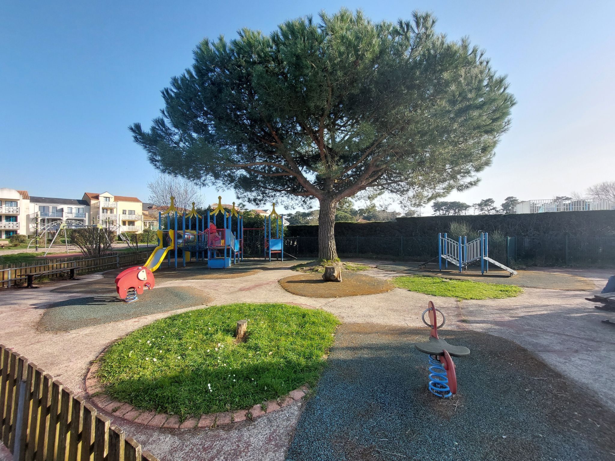 A playground with a tree, swings, and a slide.
