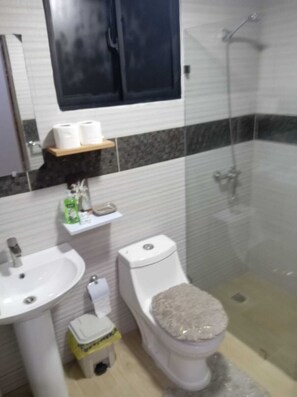 Shower, towels, soap, shampoo - Luxury Hotel style Apartment. With a/c, hot and cold water. 3bs 2 bathroom  (Santo Domingo Este)