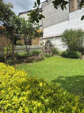 A well-maintained garden with a lawn, various shrubs, and a small tree.