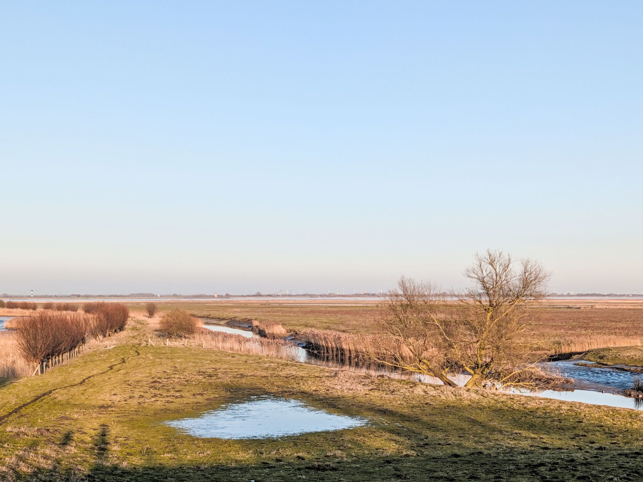 Un paysage rural avec un petit étang, un arbre et une clôture.