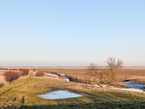 Photo non classée, 5 sur 16, bouton