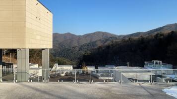 Family Premier Suite B | Property grounds