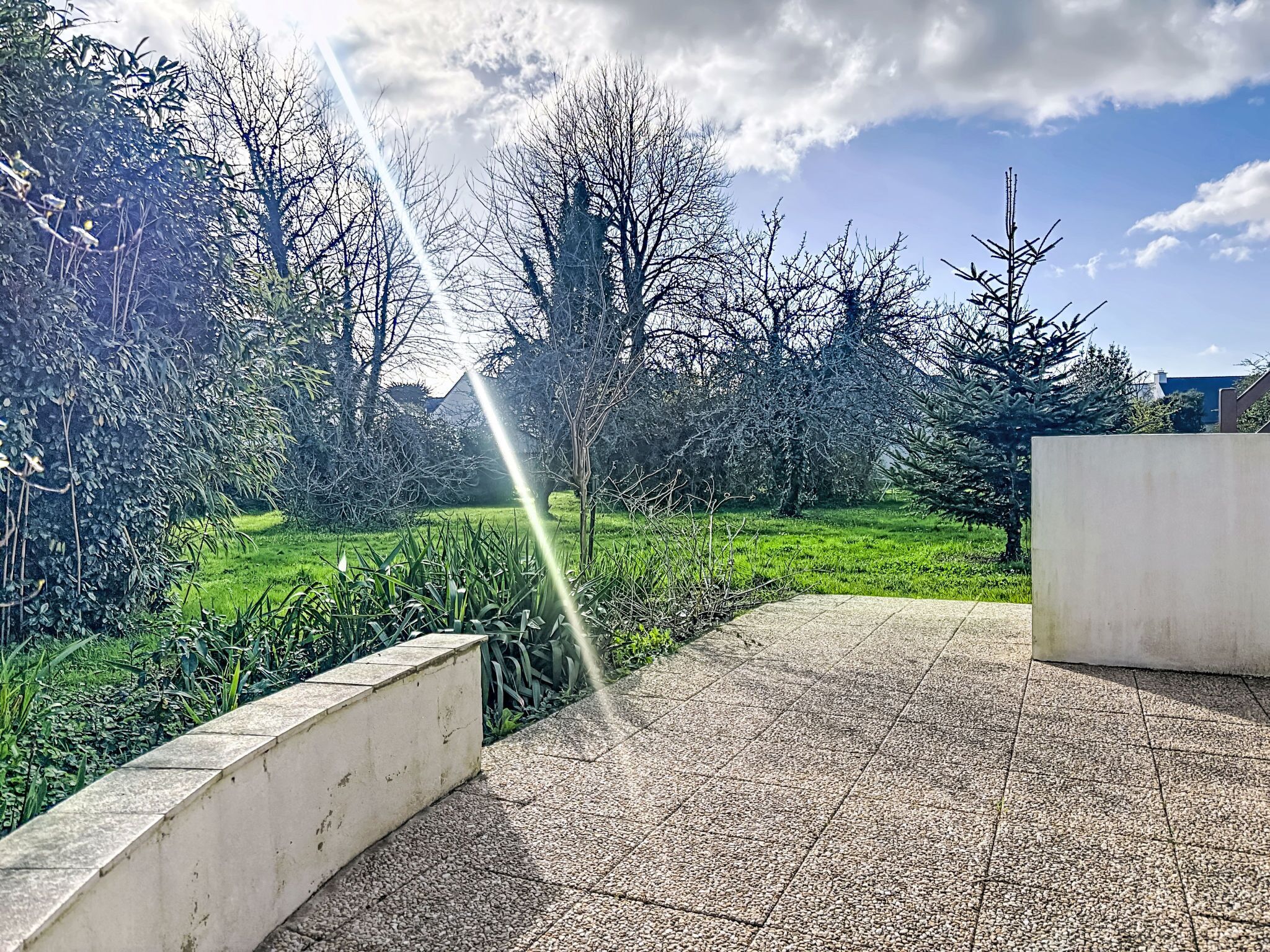 Ein gepflasterter Weg in einem Garten mit blauem Himmel und Sonnenschein.