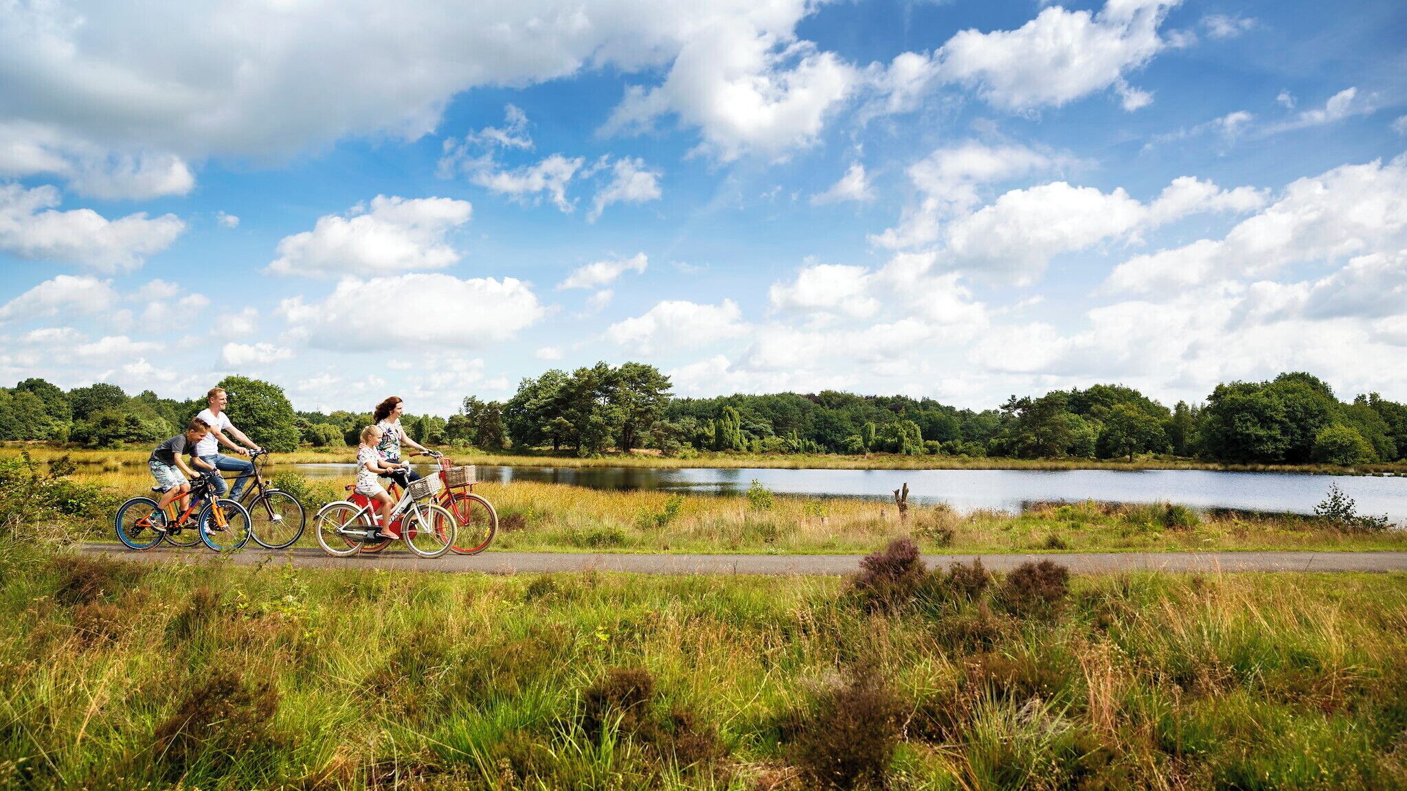 Un sentier fréquenté par des cyclistes, un lac et une zone boisée.