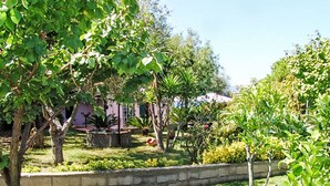 Un jardin avec un mur de pierre, diverses plantes et un bâtiment en arrière-plan.