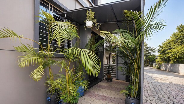 A covered outdoor area with potted plants, a hanging planter, and a paved walkway.