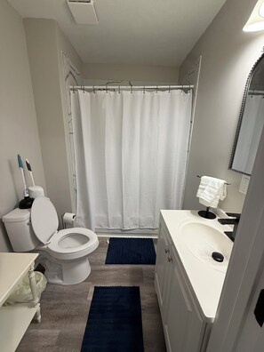 Hair dryer, towels, soap, toilet paper