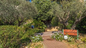 A pathway leading through a garden with a sign indicating direction to Les Minissas. - Domaine de la Luquette by Interhome (Hyères)