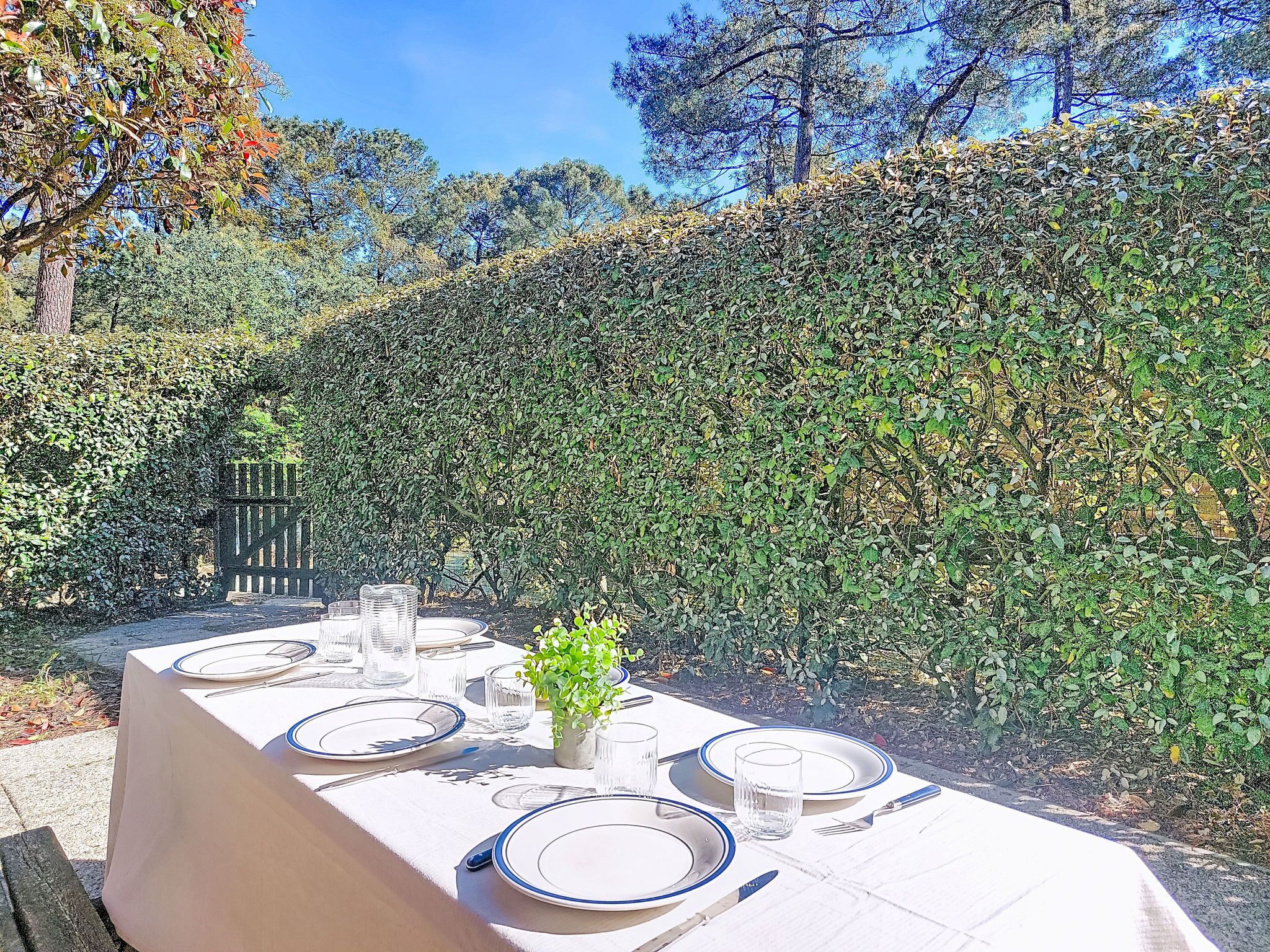 Una mesa de comedor al aire libre preparada con platos, vasos y cubiertos, rodeada por un seto.