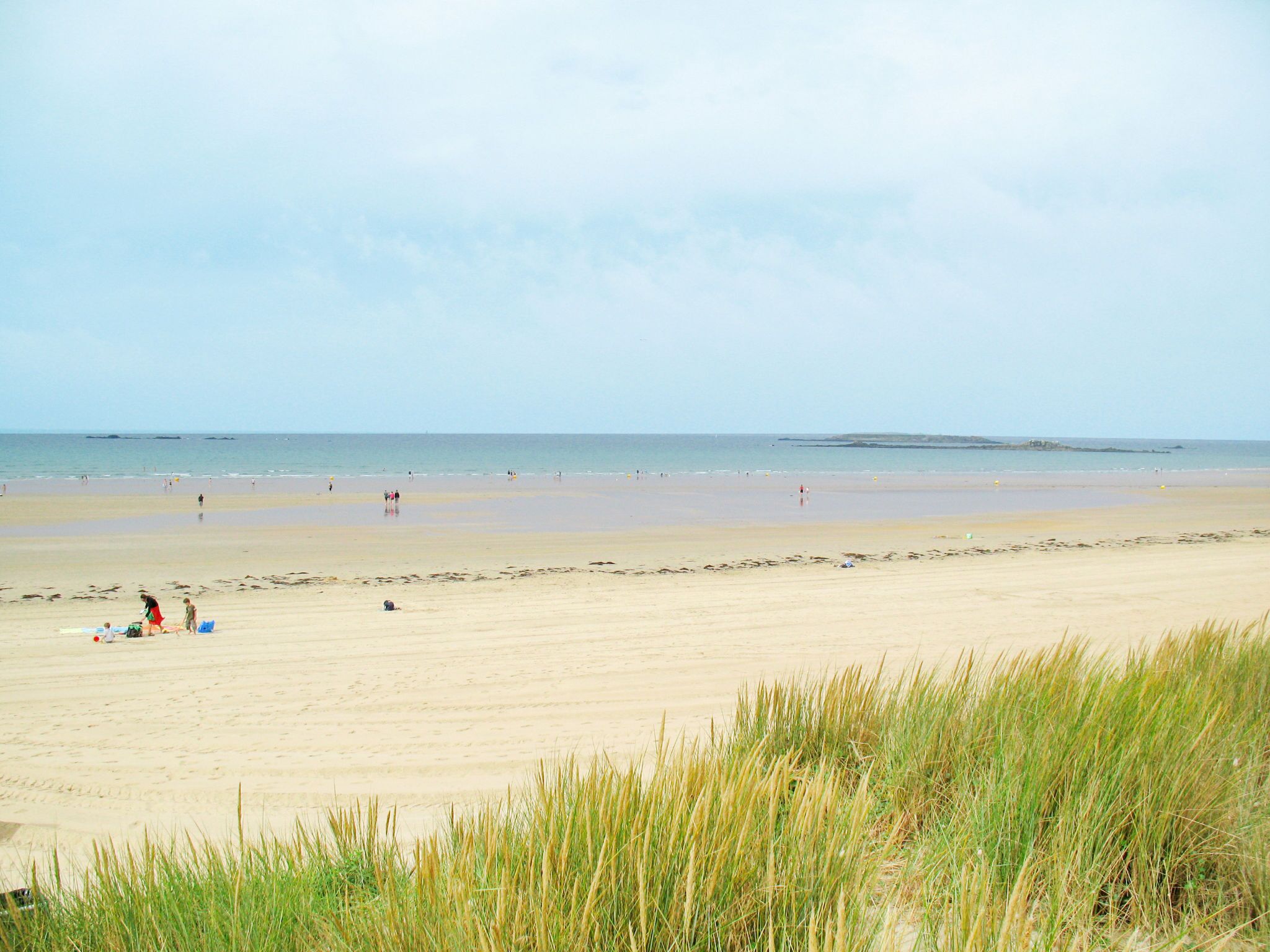 Una spiaggia con sabbia, erba e vista sul mare in lontananza.