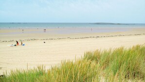 Una playa con arena, césped y una vista distante del mar.