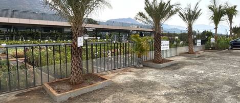 A parking area with palm trees, a fence, and a building with a sign for a nursery.