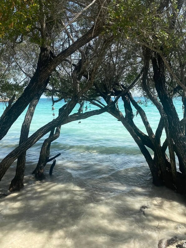 A beach with trees overhanging the sand and clear water in the background. - Large Private Pool Villa, 650 m From Mae Rumphueng Beach (Rayong)