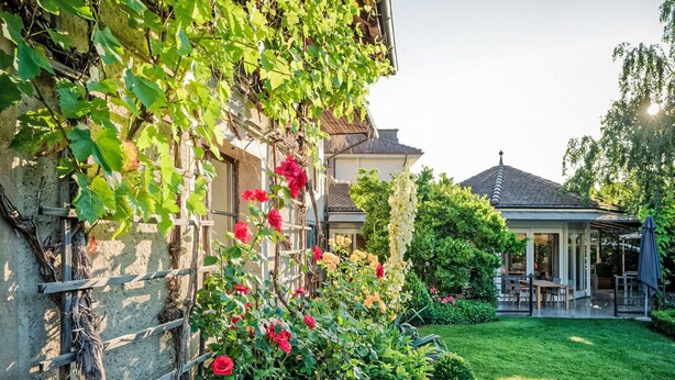 Et hus med have, et pergola overdækket med slyngplanter, og en patio.
