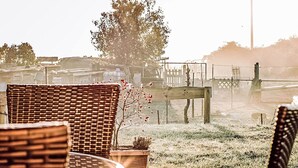 Outdoor wicker furniture, a wooden bench, and a grassy area with a fence in the background. - Appartement in Zinnowitz mit Grill by Interhome (Zinnowitz)