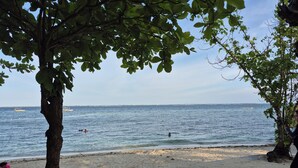 Une plage avec un arbre au premier plan, une rive sablonneuse et la mer en arrière-plan.