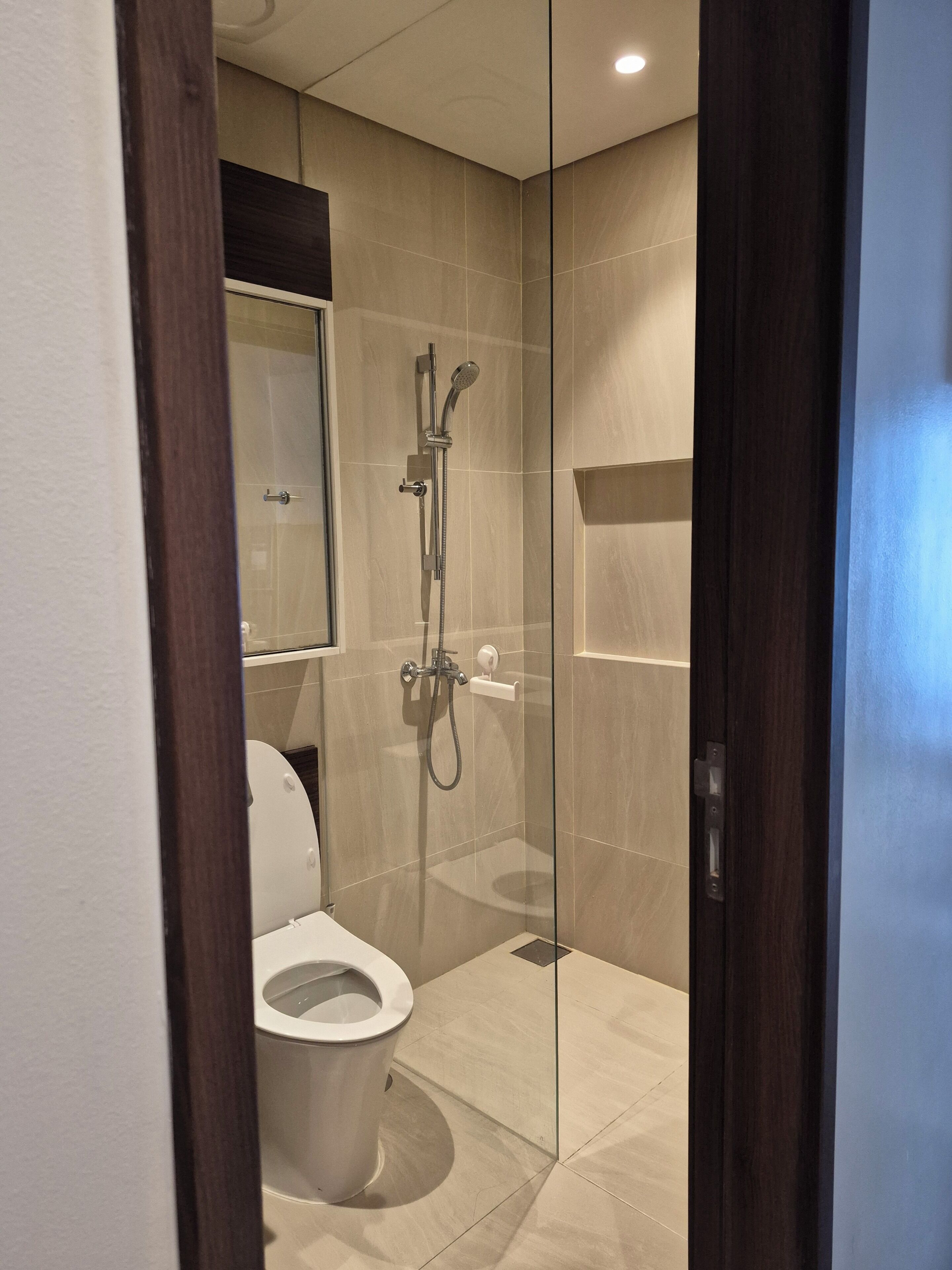 A modern bathroom with a glass shower enclosure, a toilet, and a mirror.