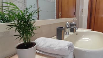 Shower, hair dryer, bidet, towels