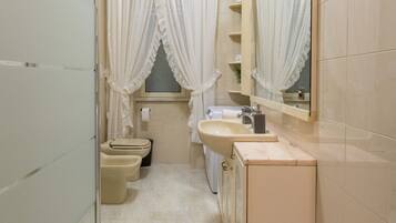 Shower, hair dryer, bidet, towels