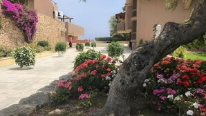 A pathway lined with potted plants and flowers leading to a building with a stone wall and balconies. - Family Apartment in Olbia Near sea (Olbia)