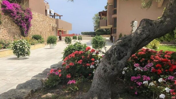 A pathway lined with potted plants and flowers leading to a building with a stone wall and balconies. - Family Apartment in Olbia Near sea (Olbia)