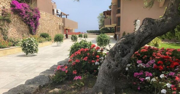 Un sendero bordeado por macetas con plantas y flores que conduce a un edificio con muro de piedra y balcones.