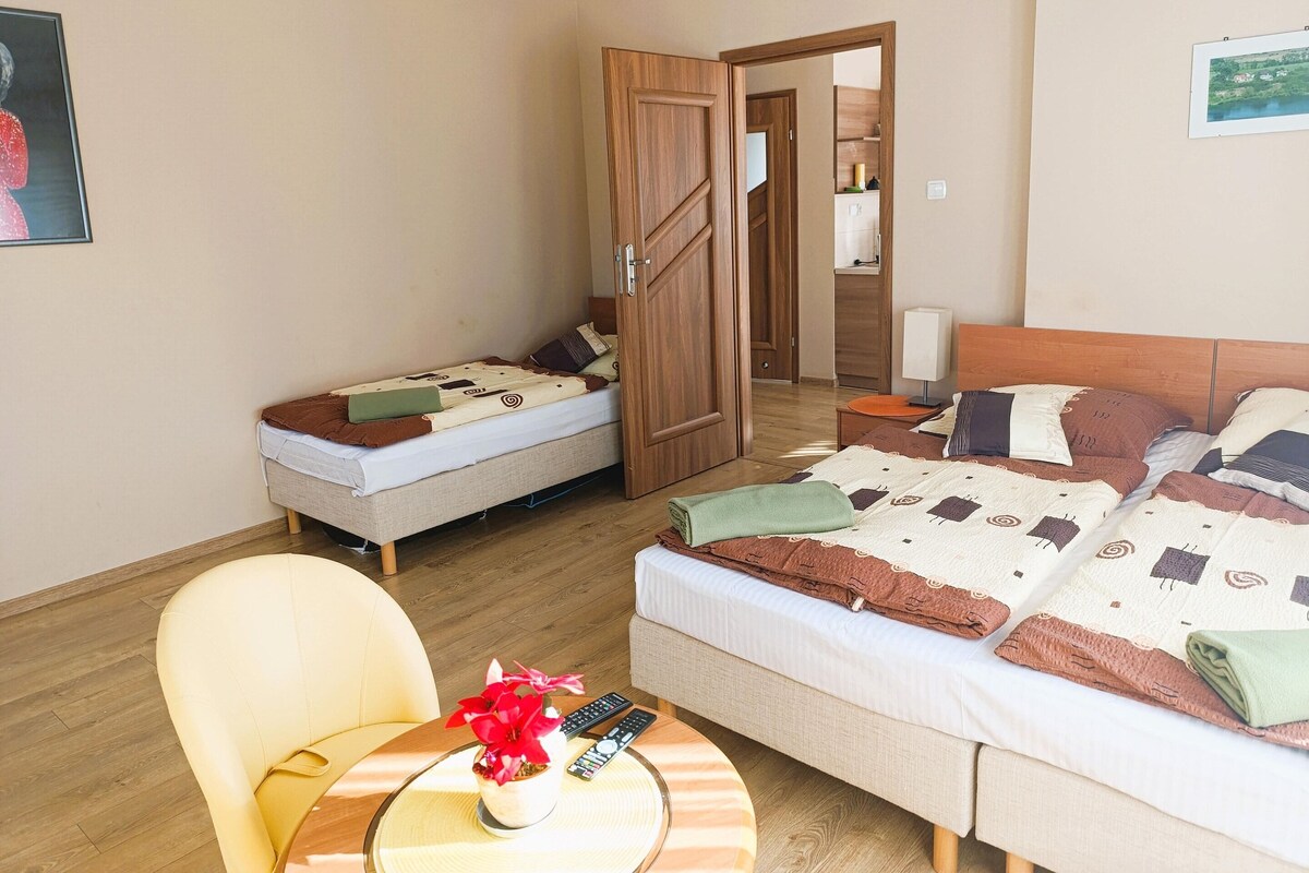 Ein Hotelzimmer mit zwei Betten, einem Sessel, einem Tisch mit Pflanze und Fernbedienungen sowie einem Holzschrank.