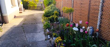 Un sendero estrecho bordeado por un muro de ladrillo y una cerca de alambre, con diversos maceteros y flores, incluyendo tulipanes y flores amarillas.