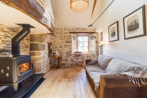 TV, fireplace, ping pong, books