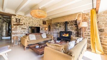 TV, fireplace, table tennis, books