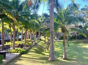 A pathway lined with palm trees and a grassy area, leading to a seating area with tables and chairs. - Pattaya Studio Walk to Beach Walking Street (Pattaya City)