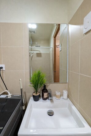 Et badeværelse med en hvid vask, et spejl, en potteplante, en shampoo flaske og en tandbørsteholder.