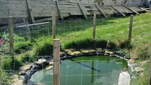 A fenced outdoor area with a pond, rocks, and a wooden structure. - Charming BnB Retreat in East Riding of Yorkshire (East Riding of Yorkshire)