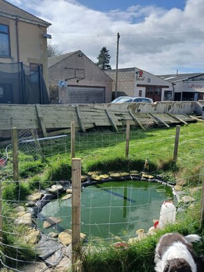 Imagen sin descripción, 4 de 24, botón