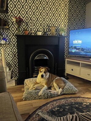 Billede uden beskrivelse, 2 af 11, knap