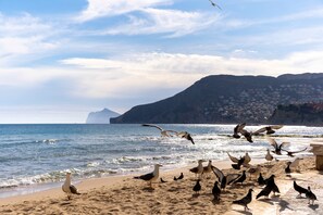 星評価なしの画像、5 / 31、ボタン