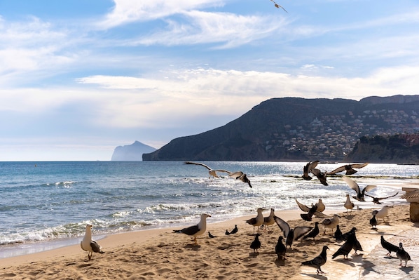 Beach nearby